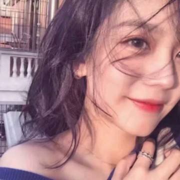 明珠轩辕91豪华版下载